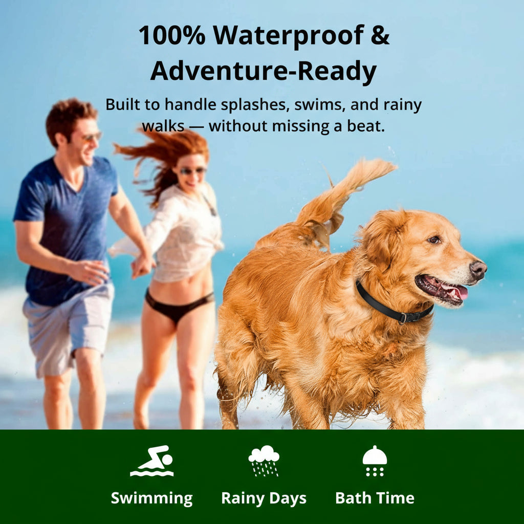1000m Waterproof Dog Training Collar with Remote, Rechargeable & Adjustable