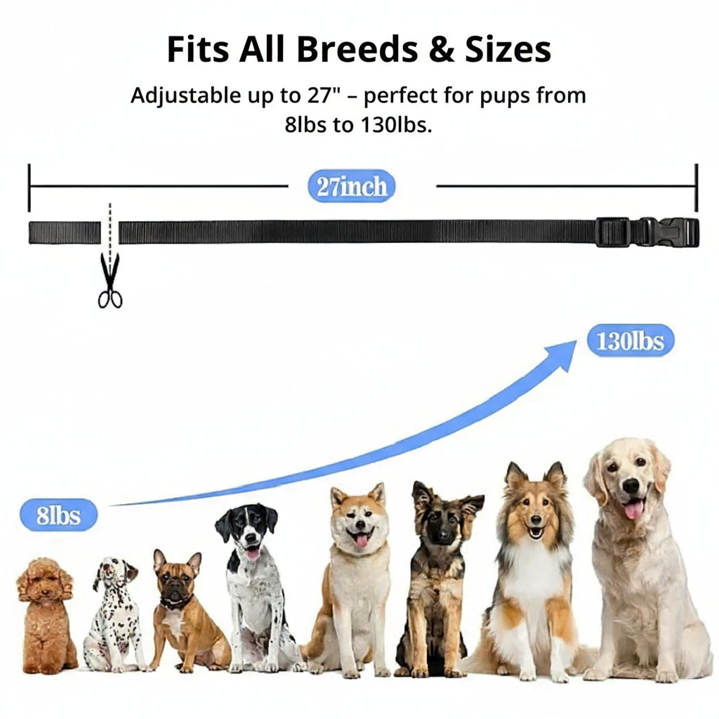 1000m Waterproof Dog Training Collar with Remote, Rechargeable & Adjustable