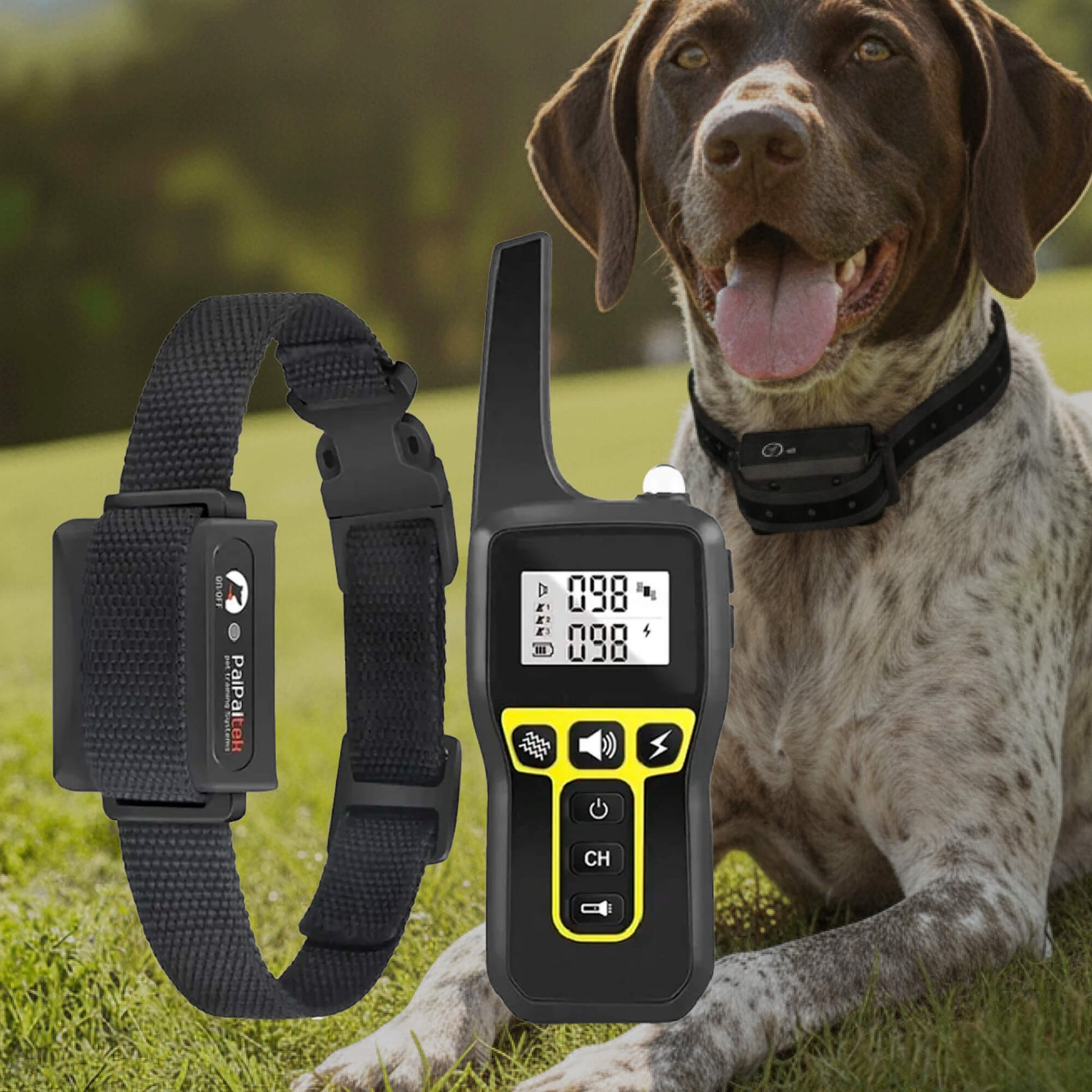 1000m Waterproof Dog Training Collar with Remote, Rechargeable & Adjustable