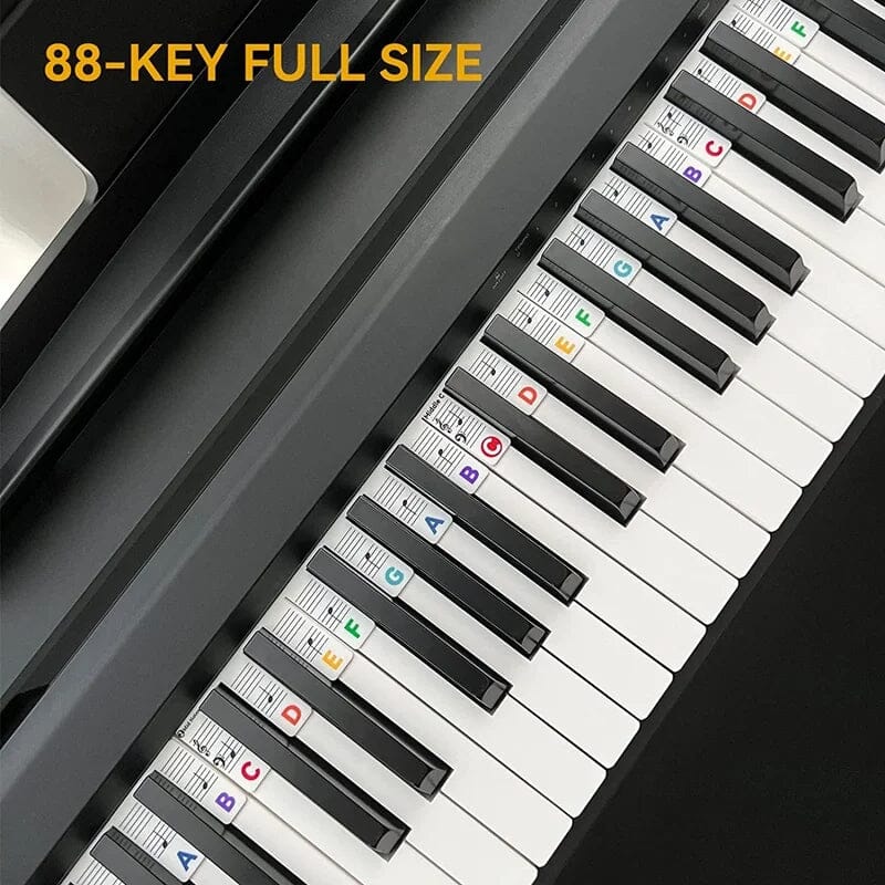 Removable Piano Key Labels for Beginners
