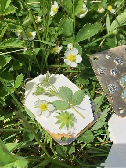 Compact Flower Press for Botanical Keepsakes | Portable Crafting Tool