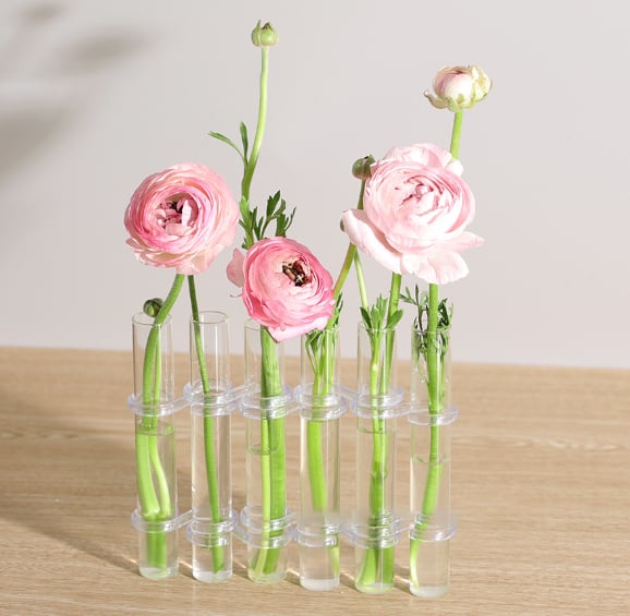 Adjustable Glass Tube Vases with Hinged Design for Modern Floral Displays