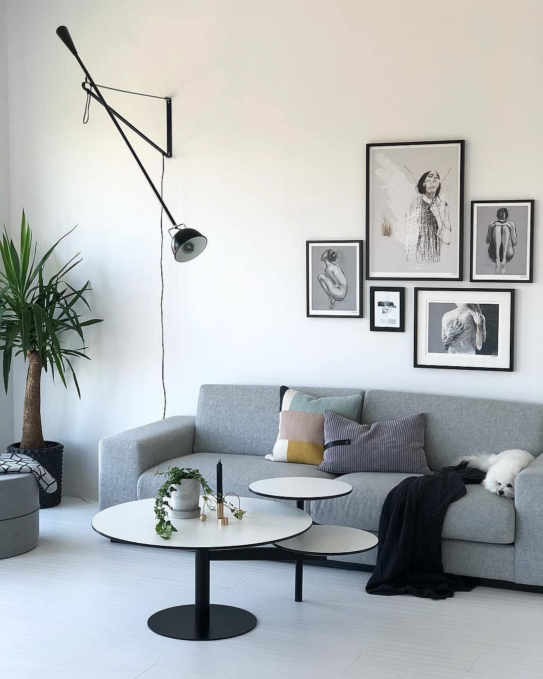 Model 265 Adjustable Wall Light Fixture