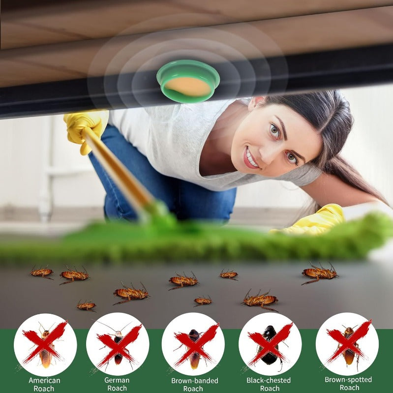 Child and Pet Friendly Cockroach Bait Discs