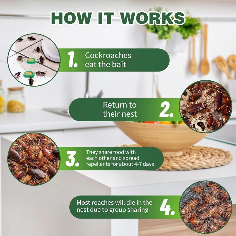 Child and Pet Friendly Cockroach Bait Discs