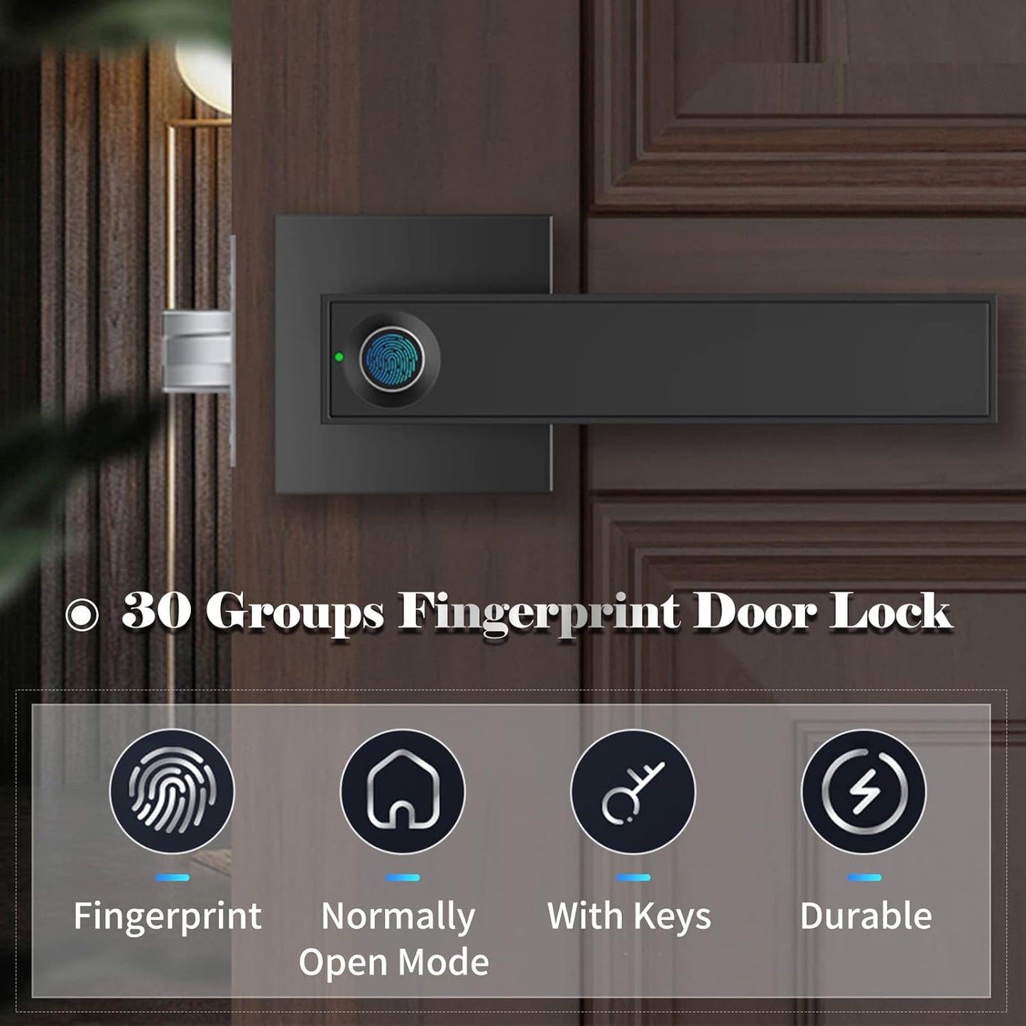 Smart Fingerprint Door Lock with Key Access & 30 User Capacity