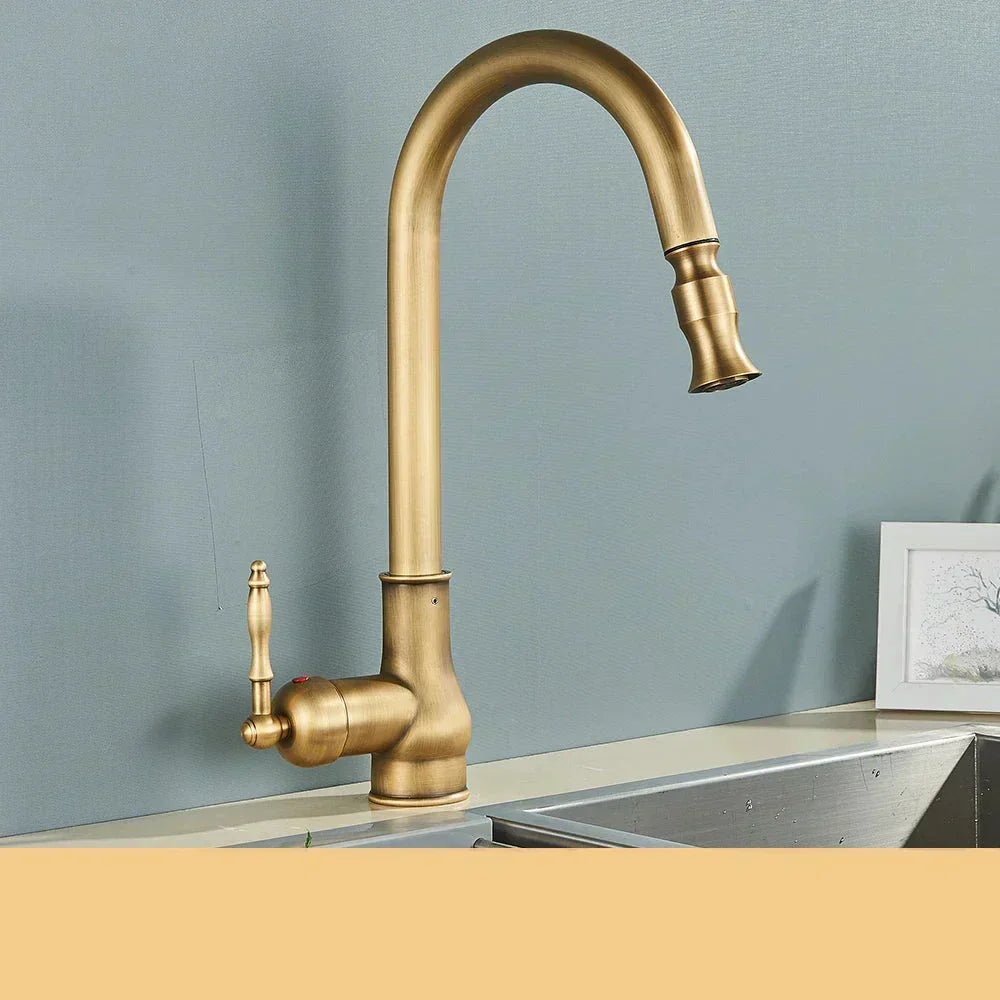 Antique Brass Retro Kitchen Faucet with Swivel Spout