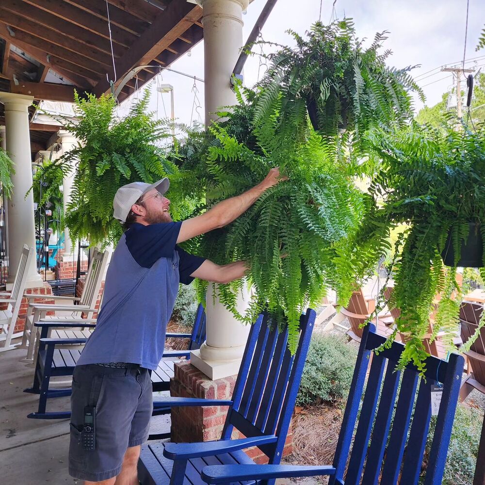 UV Resistant Faux Boston Fern | Realistic, Waterproof & No-Maintenance Outdoor Greenery