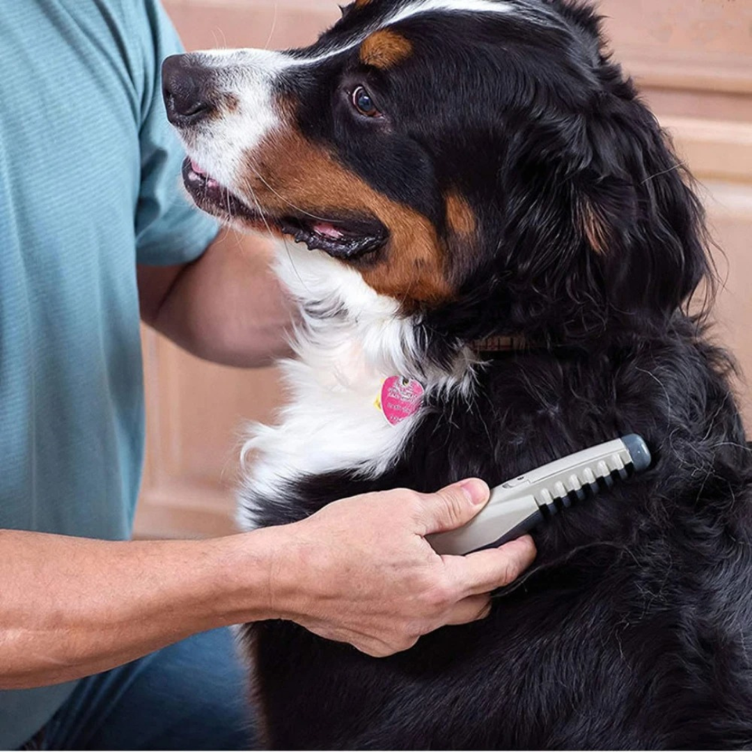 Tangle-Free Pet Grooming Trimmer for Cats and Dogs