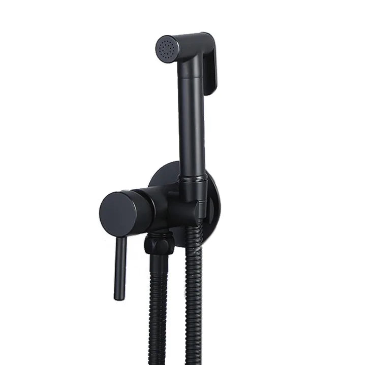 Always Clean Wall-Mounted Bidet Spray Faucet Set