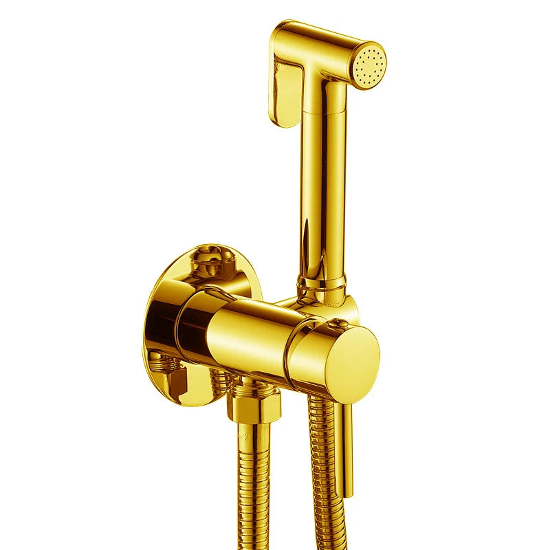 Always Clean Wall-Mounted Bidet Spray Faucet Set