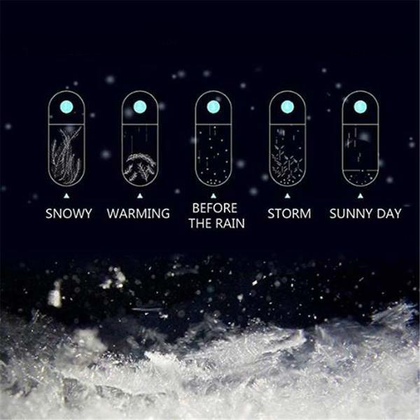 Storm Glass Crystal Weather Predictor with Wooden Stand