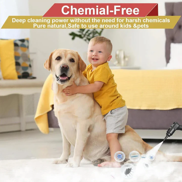 2500W High Pressure Steam Cleaner with Protective Gloves
