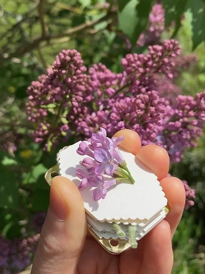 Compact Flower Press for Botanical Keepsakes | Portable Crafting Tool