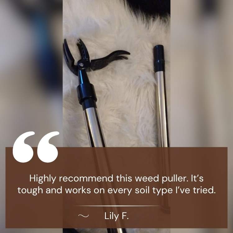 Heavy-Duty Weed Puller | Robust Steel Tip for Effortless Root Extraction
