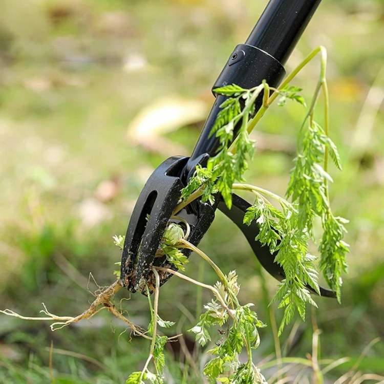 Heavy-Duty Weed Puller | Robust Steel Tip for Effortless Root Extraction