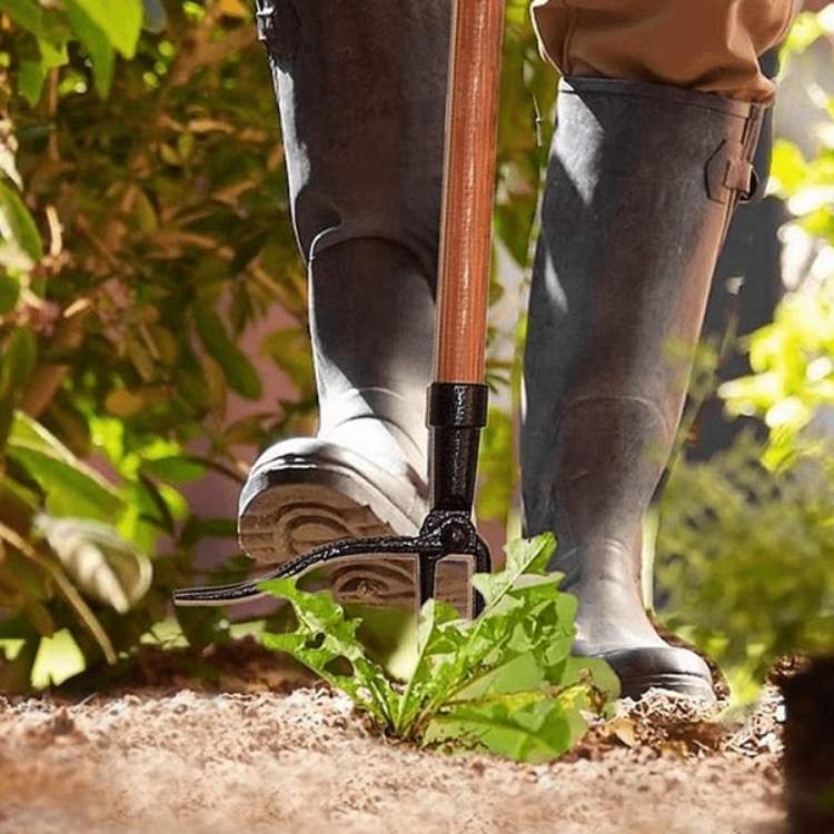 Heavy-Duty Weed Puller | Robust Steel Tip for Effortless Root Extraction