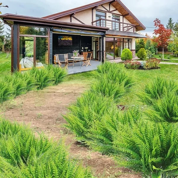 UV Resistant Faux Boston Fern | Realistic, Waterproof & No-Maintenance Outdoor Greenery