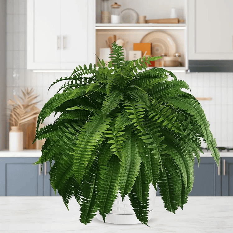 UV Resistant Faux Boston Fern | Realistic, Waterproof & No-Maintenance Outdoor Greenery