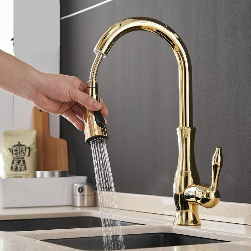 Modern Stainless Steel Pull-Out Kitchen Faucet with 360° Swivel and Spray Head