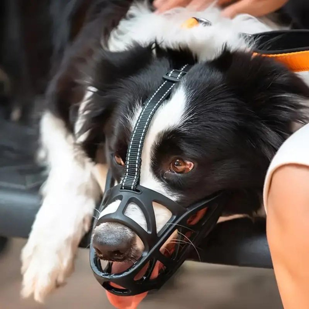 Dog Muzzle for Bark and Bite Control
