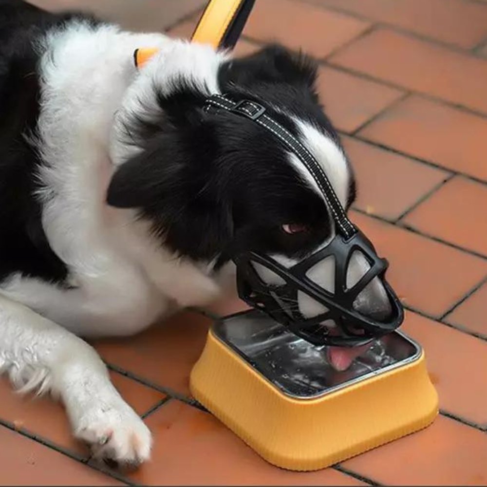 Dog Muzzle for Bark and Bite Control