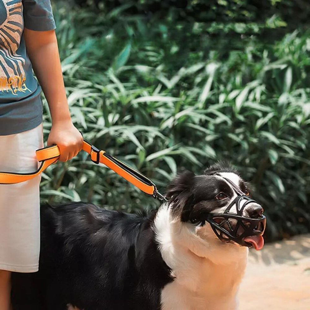 Dog Muzzle for Bark and Bite Control