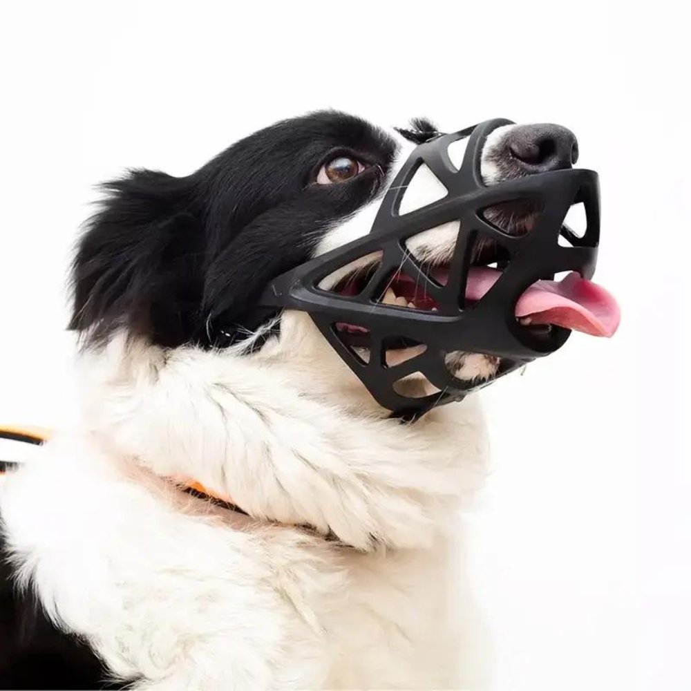 Dog Muzzle for Bark and Bite Control