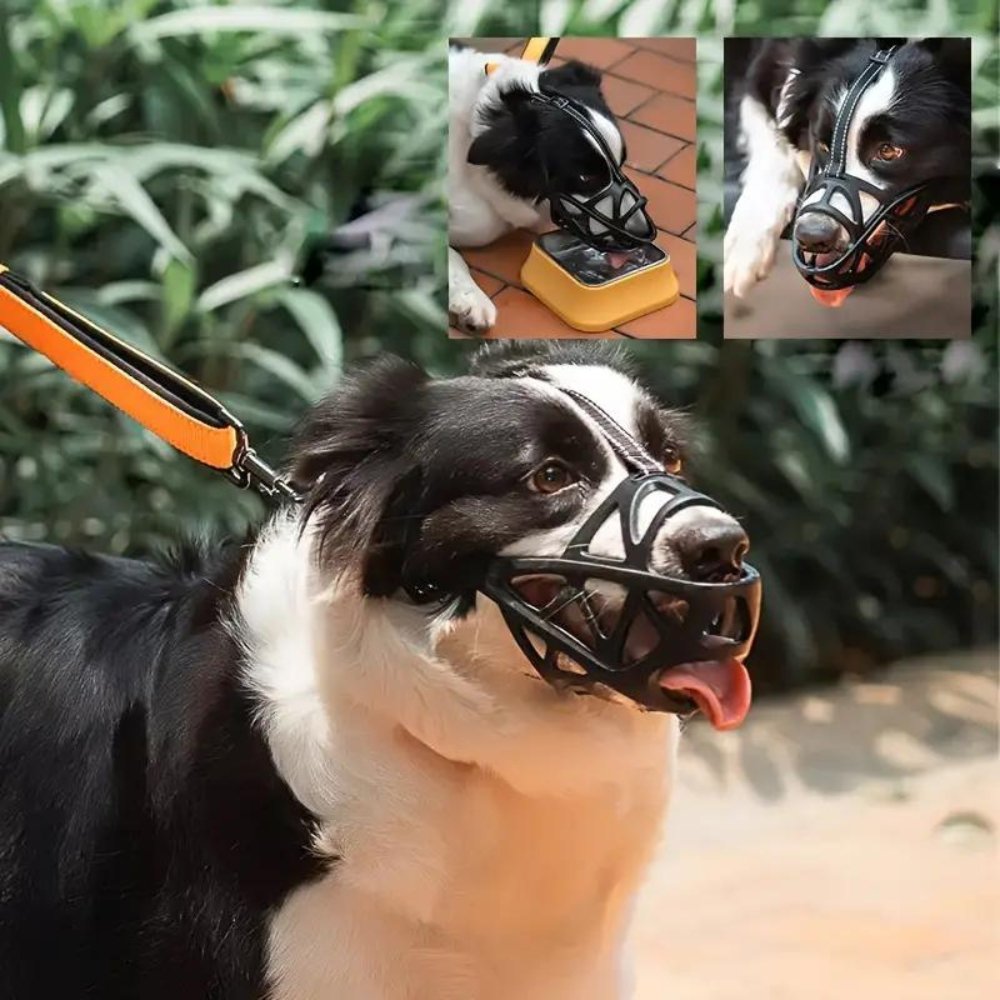 Dog Muzzle for Bark and Bite Control